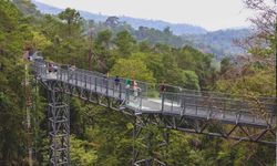 Canopy Walks ทางเดินศึกษาธรรมชาติสูงเสียดฟ้า ณ สวนพฤกษศาสตร์สมเด็จพระนางเจ้าสิริกิติ์