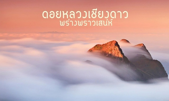 ดอยหลวงเชียงดาว..พร่างพราวเสน่ห์