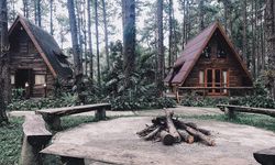 Cabin in the Wood บ้านไม้สุดชิคกลางป่าสน @สวนป่าดอยบ่อหลวง