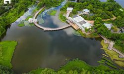 Hong Kong Wetland Park พื้นที่ชุ่มน้ำระดับโลกบนเกาะฮ่องกง