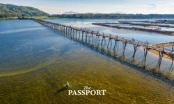 Ong Cop Bridge สะพานไม้ยาวที่สุดของเวียดนาม