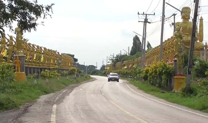 อันซีนอ่างทอง ถนนพระสีวลีเหลืองอร่ามสองข้างทาง จากความศรัทธาพระชาวบ้าน