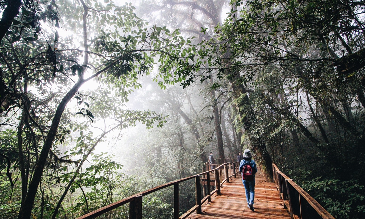 ชวนสำรวจ “เส้นทางศึกษาธรรมชาติอ่างกา” แหล่งเรียนรู้ระบบนิเวศป่าพรุภูเขาที่สูงที่สุดของไทย