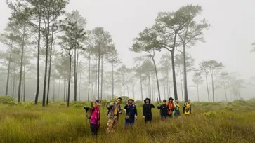 ป่าทุ่งแสลงหลวง ปลายฝนต้นหนาว สัมผัสดอกไม้ ป่าสน บนลานหิน ท่ามกลางไอหมอก