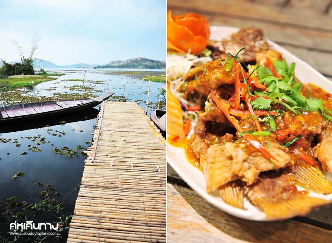 เรือนพริกไทยอ่อน