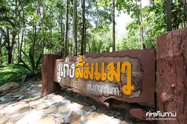 แก่งส้มแมว