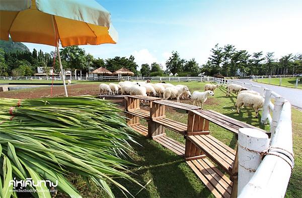 The Scenery Resort & Farm