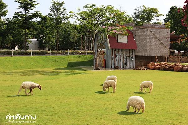 The Scenery Resort & Farm