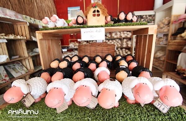 The Scenery Resort & Farm