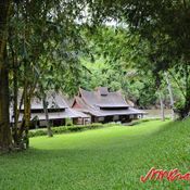 Rock Valley Hot Spring and Fish Spa