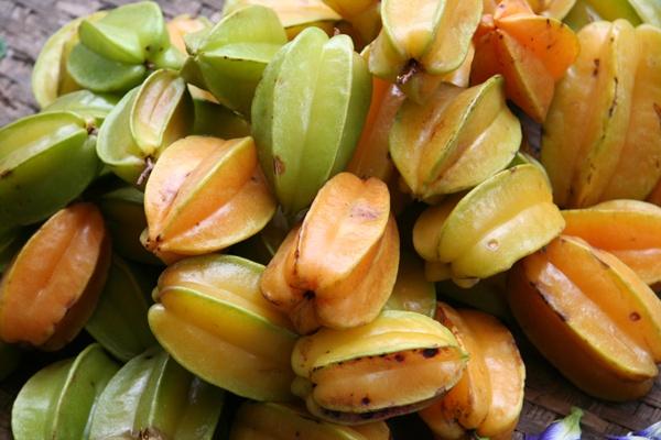 ตลาดน้ำอโยธยา