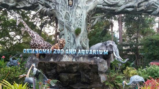 20151115_165338_large.jpg