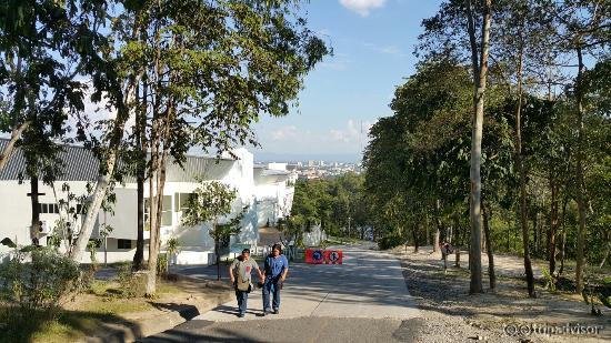 20151120_153348_large.jpg