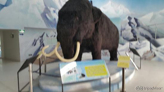 20151120_153530_large.jpg