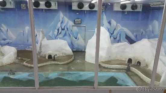 20151120_153630_large.jpg