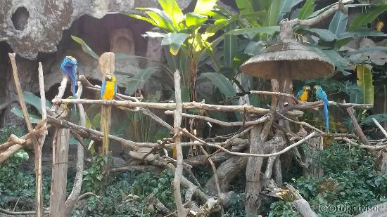 20151223_120927_large.jpg