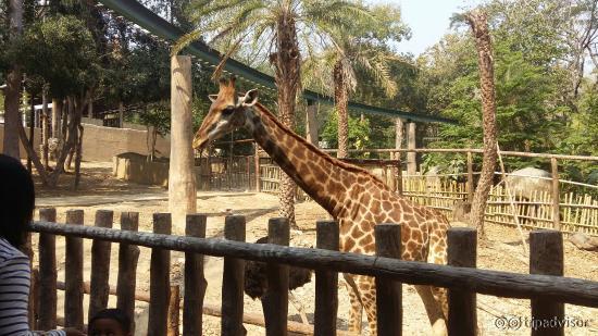20160217_140153_large.jpg