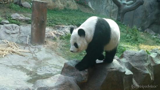 20160217_143832_large.jpg