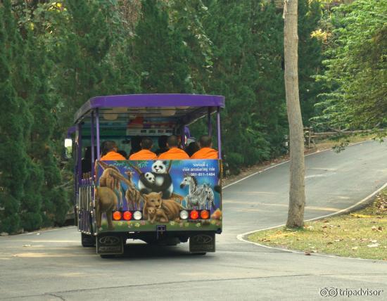 Battery car ride
