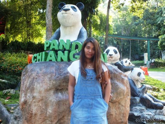 รูปปั้นหมี