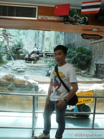 เห็นหมีไหม