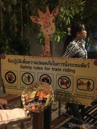 排隊遊園的標示！真的不要開閃光燈啊！