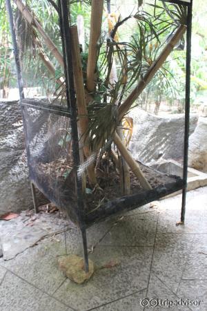 Cage bancale