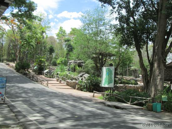 Zoo Chiang Mai