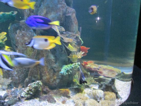 Zoo Chiang Mai - Aquarium