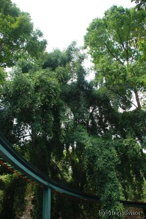 Chiang Mai Zoo