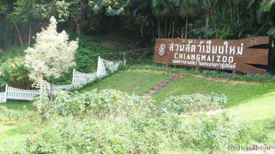 chiang mai zoo