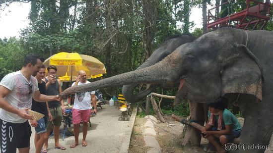Chiang Mai Zoo