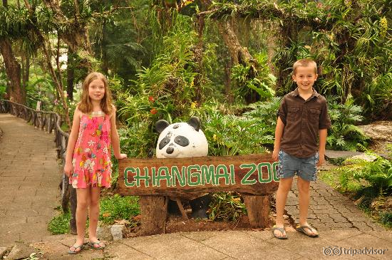 chiang mai zoo