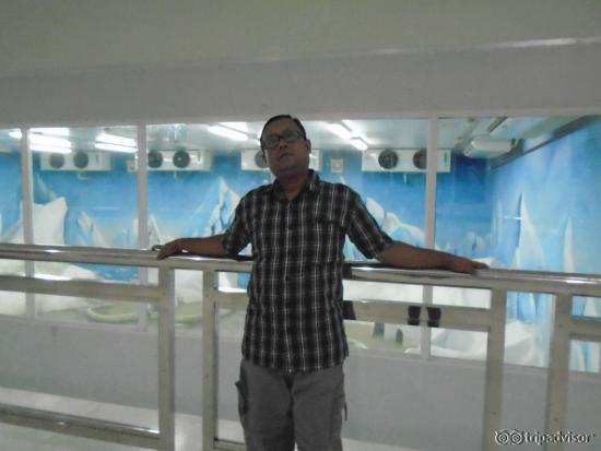 Penguin section