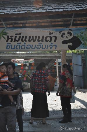 Entrée des pandas