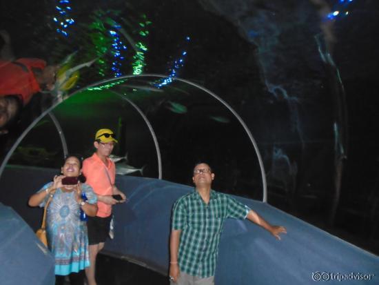 inside aquarium