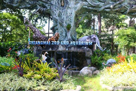 Chiang Mai Zoo