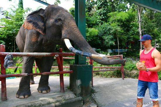 Chiang Mai Zoo