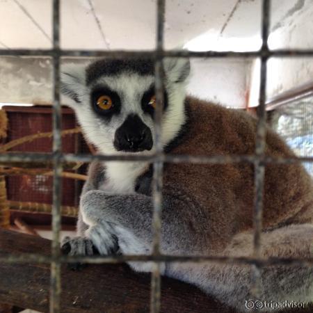 Chiang Mai Zoo