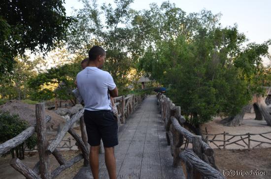 Just walking around