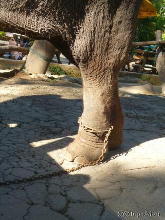 heavy chains, no possibility to move