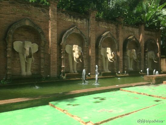 ZOO Chiang Mai