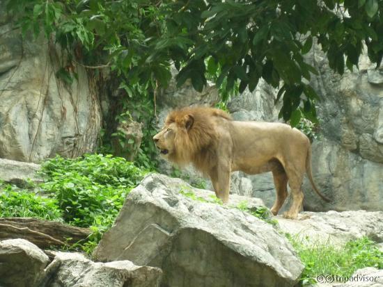 zoo