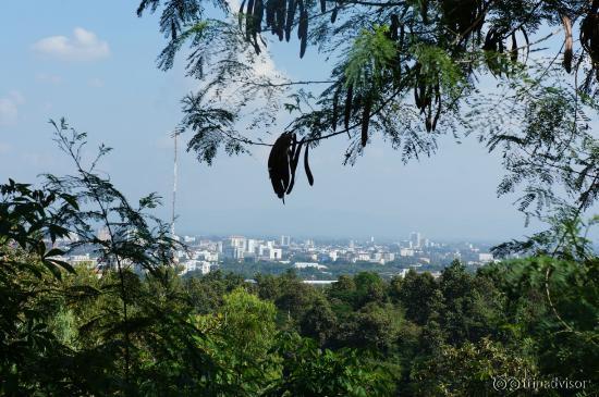 view of Chiang Mai from Zoo