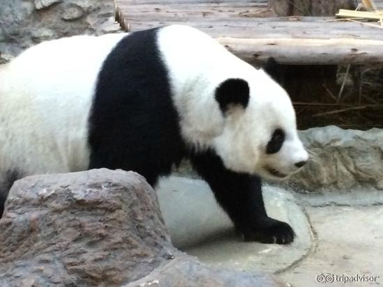 Zoo