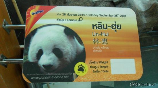 Zoo