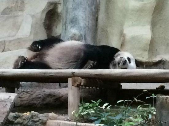 Zoo