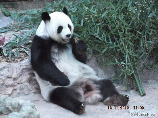 chilling out