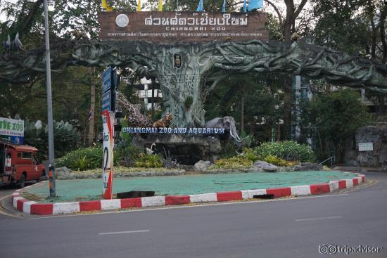 outside gate