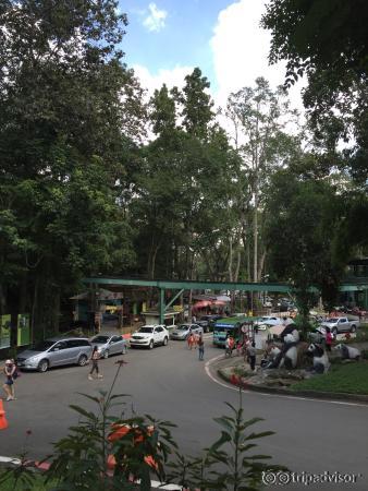 photo1.jpg